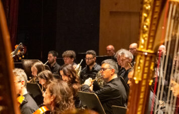 The Artists of the Fondazione Teatro Massimo at the Arena di Verona for the Opera Singing Gala